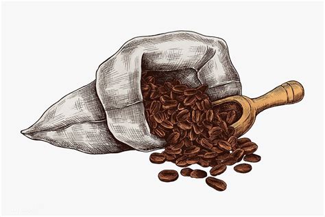 Download Premium Illustration Of Hand Drawn Coffee Beans In A Bag