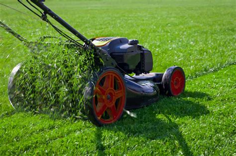 Lawn Care Sslandscaping