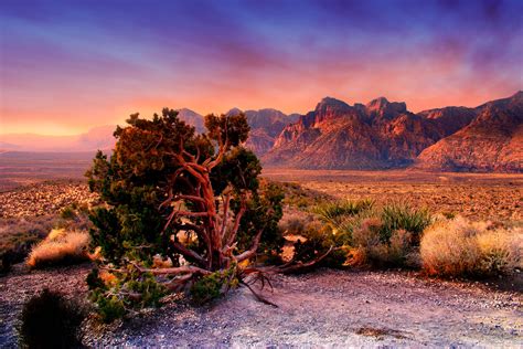 Nevada Photography And Travel Guide Las Vegas Area Kenko Imaging Usa