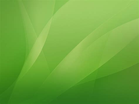 42 Olive Green Desktop Wallpapers Wallpapersafari