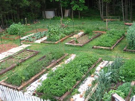 24 Free Raised Garden Bed Ideas To Maximize Your Space One Perfect Room