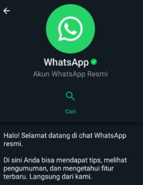 Kenali !! Ini Ciri Ciri Akun Resmi WhatsApp yang Disangka Akun Hacker