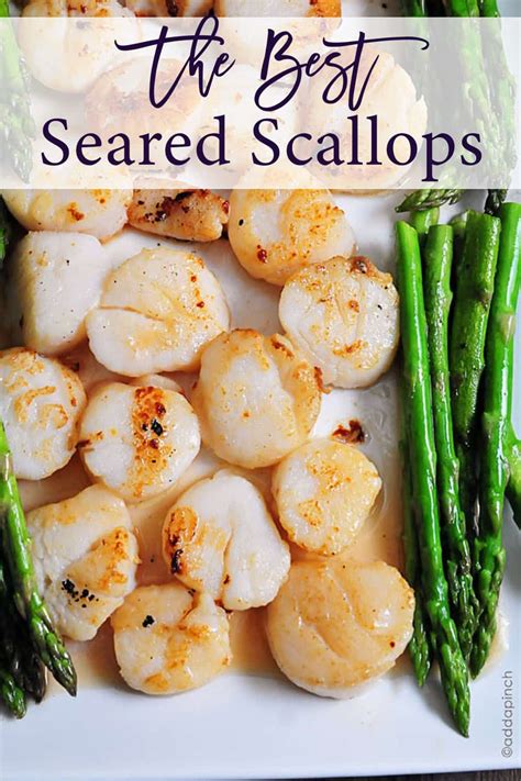 Easy Seared Scallops Recipe Add A Pinch Ready In 15 Minutes