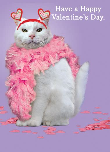 happy valentines day funny cat