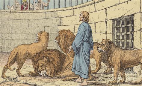 Daniel In The Lions Den Drawing By French School