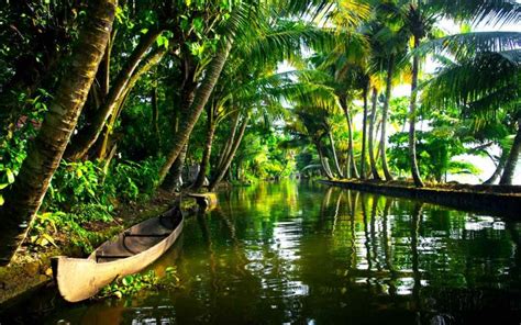 Best Of Kerala Tour 147303holiday Packages To Munnar Alleppey Kovalam