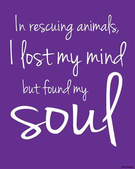 Best 25 Animal Rescue Quotes Ideas On Pinterest Rescue Dog Quotes