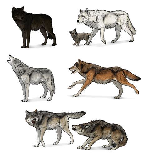 How To Draw Wolves A Complete Tutorial By Monikazagrobelna On