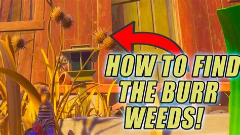 Where Are The BURR Weeds In The NEW Grounded Update How To Make The