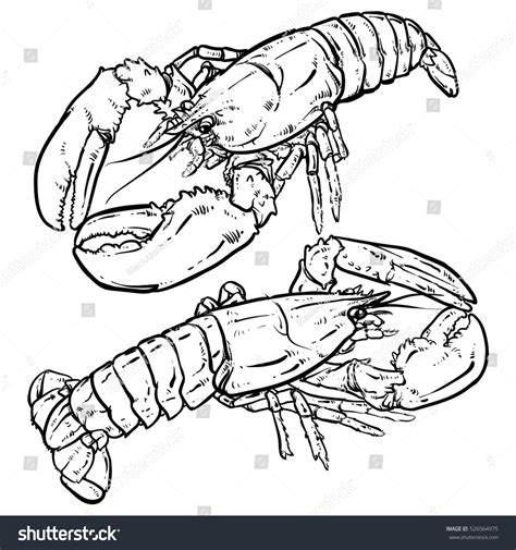 Lobster Claws On White Background Seafood Stock Vector 526564975