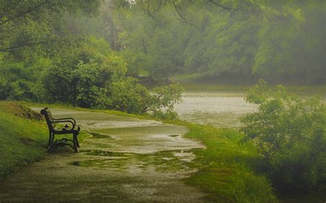 Nature Rain Wallpapers Wallpaper Cave