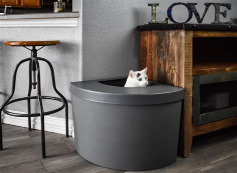 Hide The Litter In Style With These Modern Covered Litter Boxes