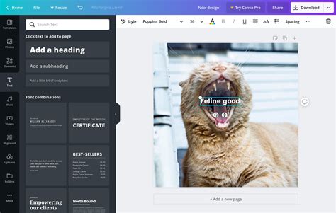 Easily Add Text To Photos With Online Text Editor Canva