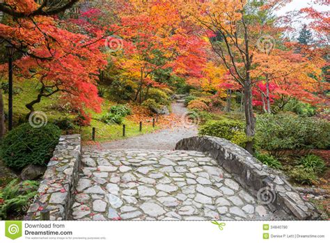 38 Beautiful Stone Autumn Wallpapers Wallpapersafari