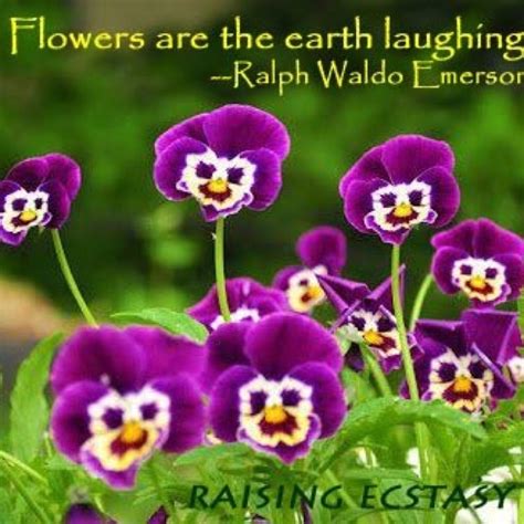 Laughing Flowers Mother Nature Pinterest