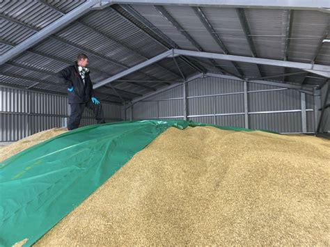 Grain Fumigation Specialists Uk Bpca Fumigation Specialist Top Reviews