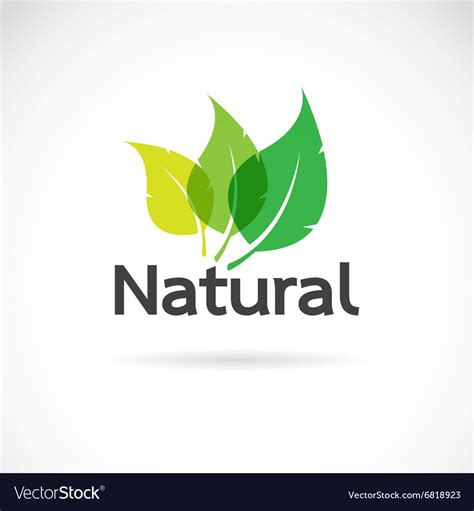 Natural Logo Design Template Royalty Free Vector Image