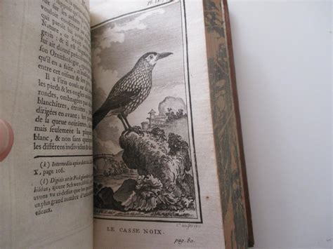 Histoire Naturelle Des Oiseaux Von Buffon Zvab