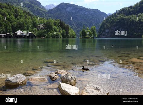 Lake Königssee Bavaria Germany Stock Photo Alamy