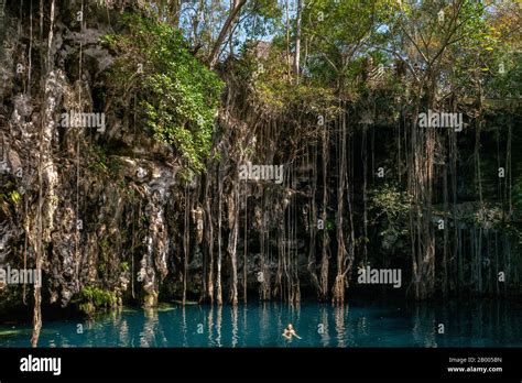 Ik Kil Cenote Swimming Sinkhole In Yucatan Peninsula Mexico Stock