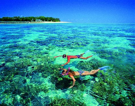 Great Barrier Reef Tours Green Island Snorkel Tours