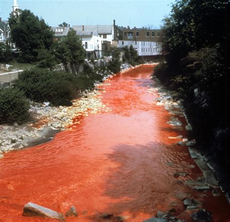 How A River That Used To Run Red With Pollution Got Clean New