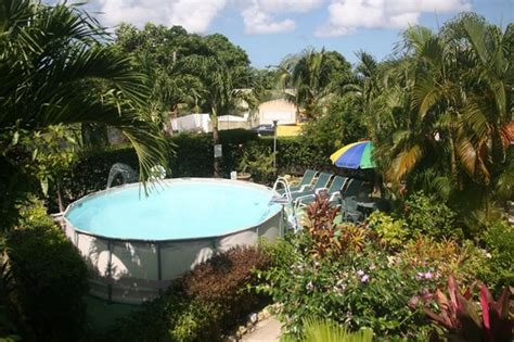 palm paradise guest house 2 apartments barbados paynes bay bandb reviews photos and price