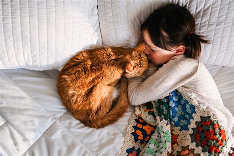 Should You Let Your Cat Sleep In Your Bed Readers Digest
