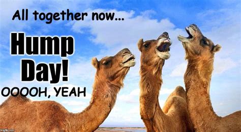 Hump Day Ooooh Yeah Image Tagged In Cameltriooh Yeah Made W