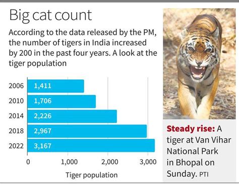 Indias Tiger Population Tops 3000 Shows Census The Hindu