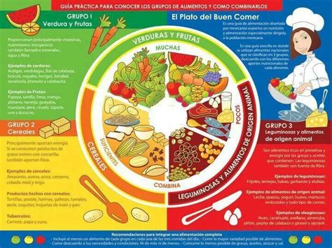 Guía Para Conocer Los Grupos De Alimentos México Plato Del Buen