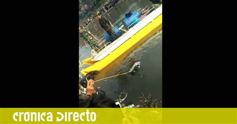 Unos Pescadores Capturan Un Cad Ver Durante Un Concurso De Pesca