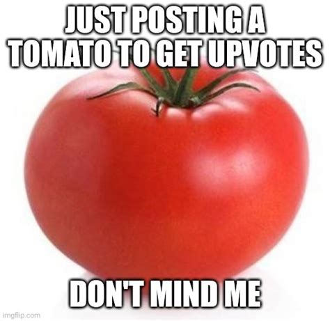 Tomato Also Happy 1k Followers Imgflip