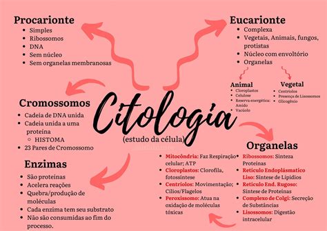 Mapa Mental Citologia Estudo Das Celulas Citologia Biologia Citologia