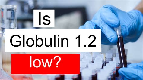 Is Globulin 12 Low Normal Or Dangerous What Does Globulin Level 12 Mean