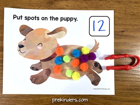 Spots On The Puppy Counting Math Prekinders