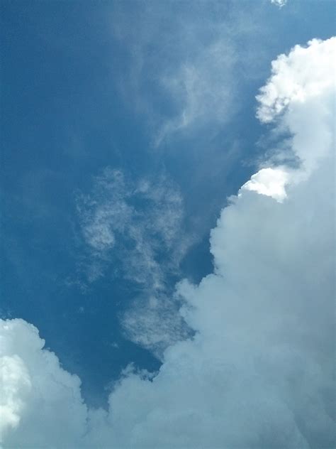 Free Images Cloud Sunlight Daytime Cumulus Blue Sky Clouds Day