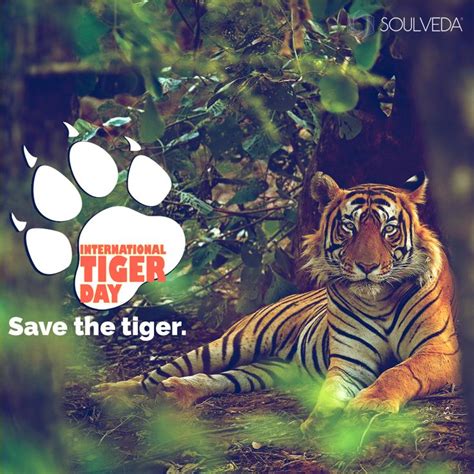 International Tiger Day Tiger Conservation Save The Tiger Animal