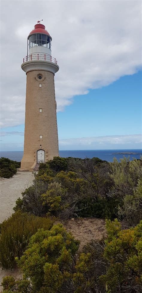 Sealink Kangaroo Island Adelaide Aktuelle 2019 Lohnt Es Sich