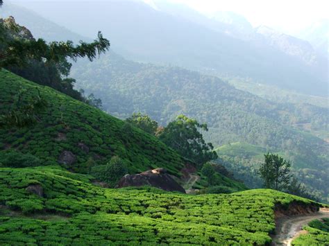 36 Things To Do In Kerala With Beautiful Photographs Include In Kerala