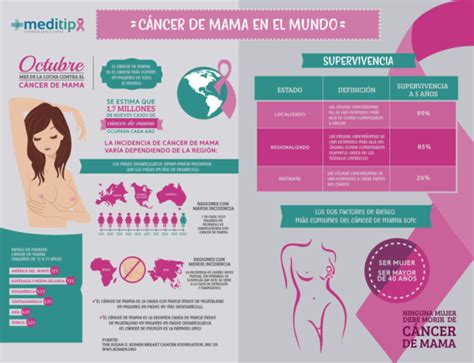 Infografía Sobre Cáncer De Mama En El Mundo Meditip El Portal De La