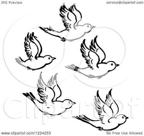Flying Birds Clipart Black And White 10 Free Cliparts Download Images