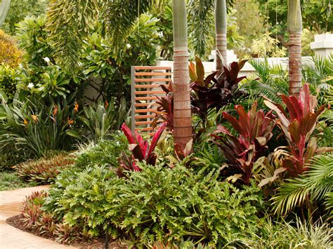 Jcgardendesign Tropical Garden Design Queensland