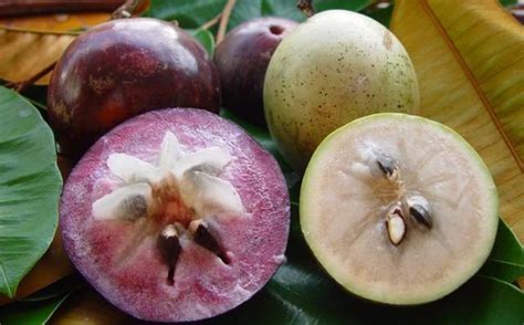 At year's end, the japanese use it as a decorative ornament and place it on top of specially pounded rice cakes, or they use it instead of flowers in the home's sacred. 10 Most Bizarre and Unusual Apples around the World