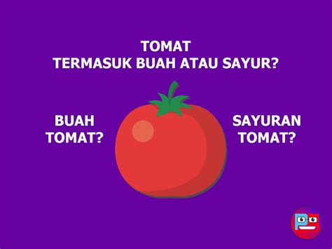 What exactly is a tomato? Tomat Buah Atau Sayur - Pendidikan Sekolahku