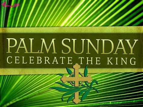 Palm Sunday Celebrate The King Jesus Triumphant Entry Into