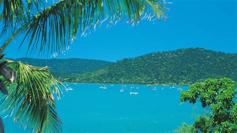 Cheap Flights To Airlie Beach Expedia