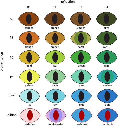 8 Best Eye Color Chart Genetics Images In 2020 Eye Color Chart Eye