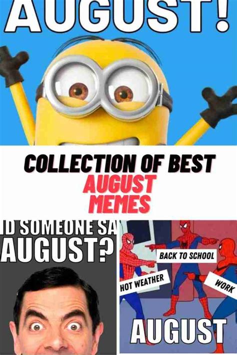 Collection Of Best August Memes 2023 Guide For Geek Moms