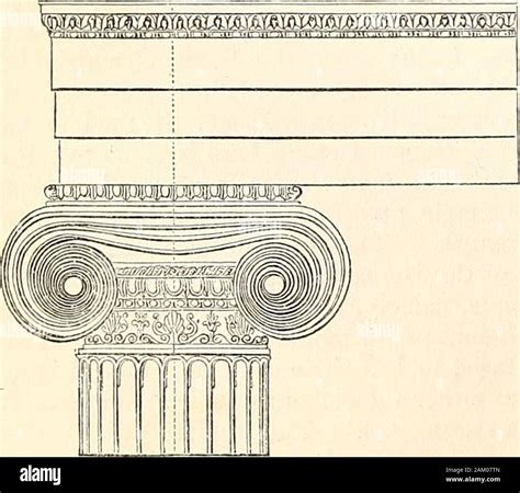 Un Diccionario De Antigüedades Griegas Y Romanas Columna Rnisa